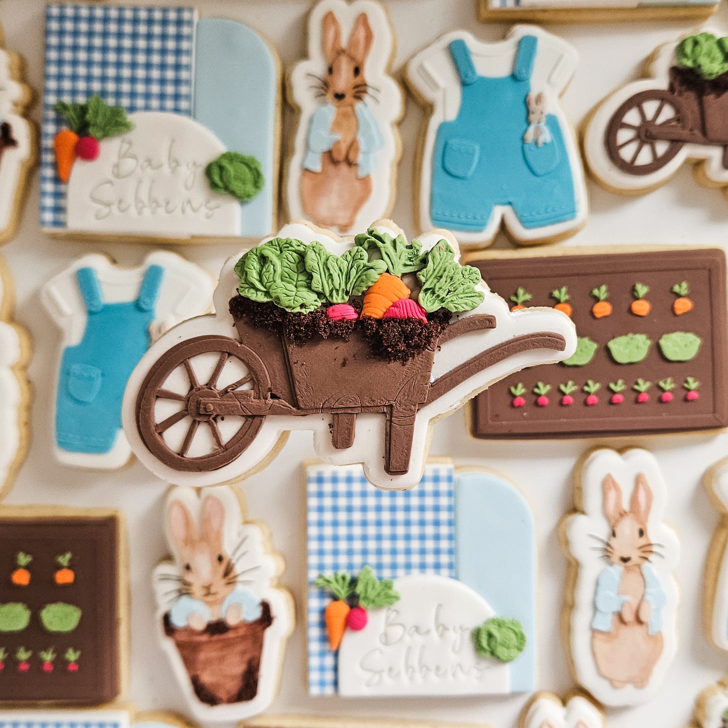 Peter Rabbit Baby Shower Cookies