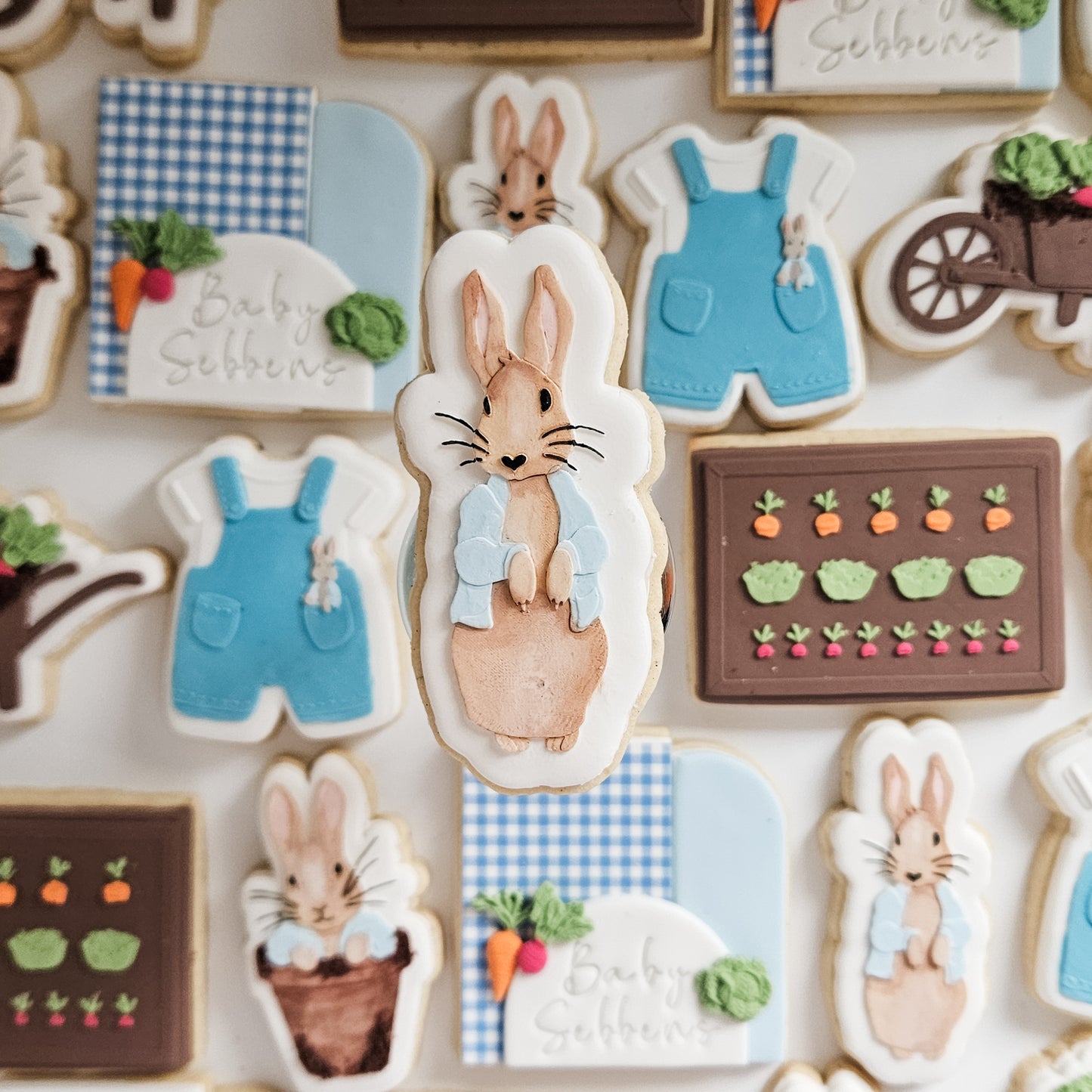 Peter Rabbit Baby Shower Cookies