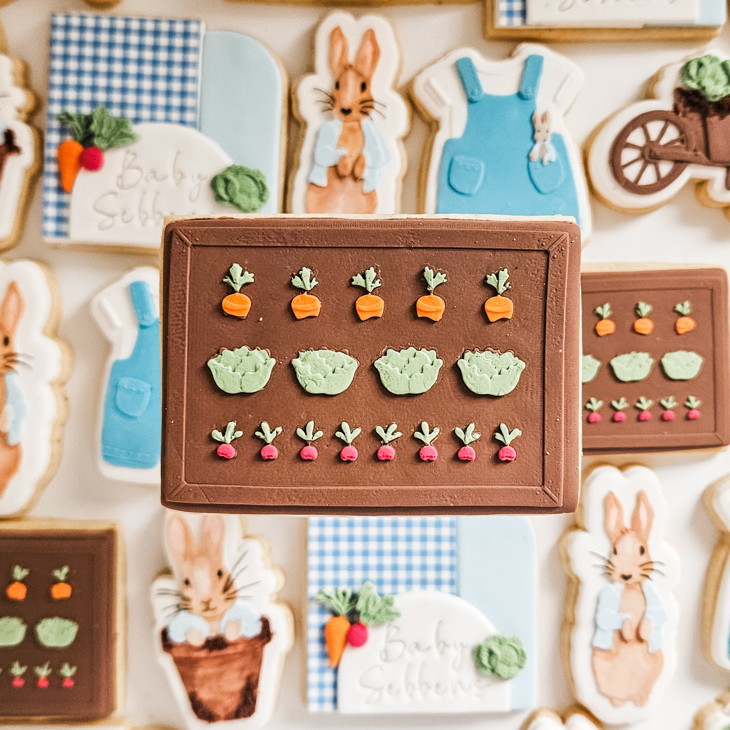 Peter Rabbit Baby Shower Cookies