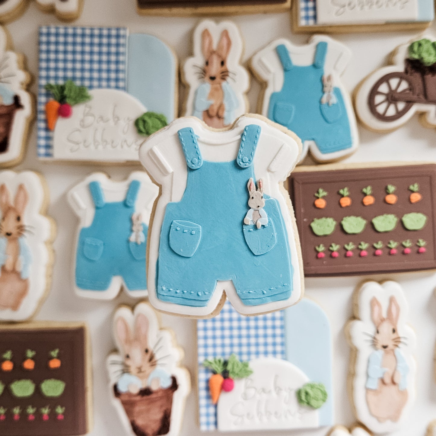 Peter Rabbit Baby Shower Cookies