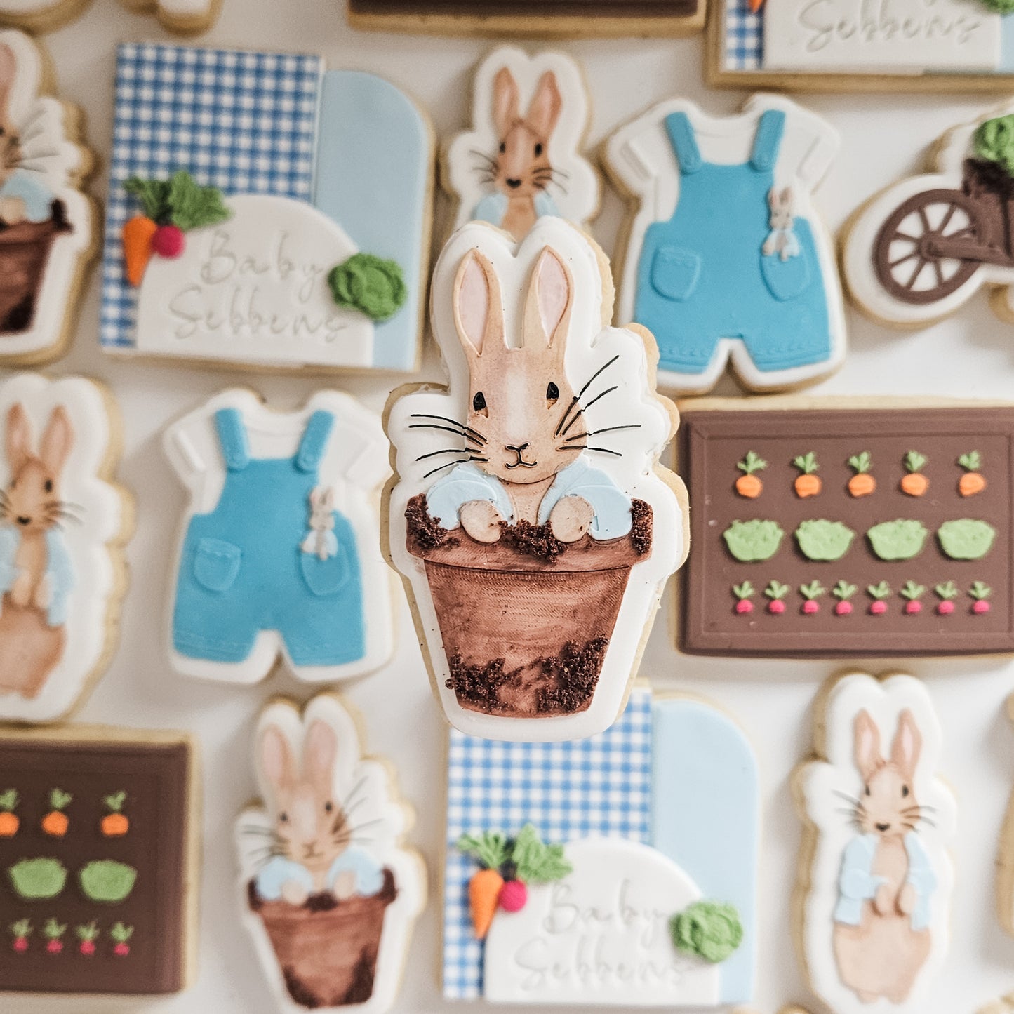Peter Rabbit Baby Shower Cookies